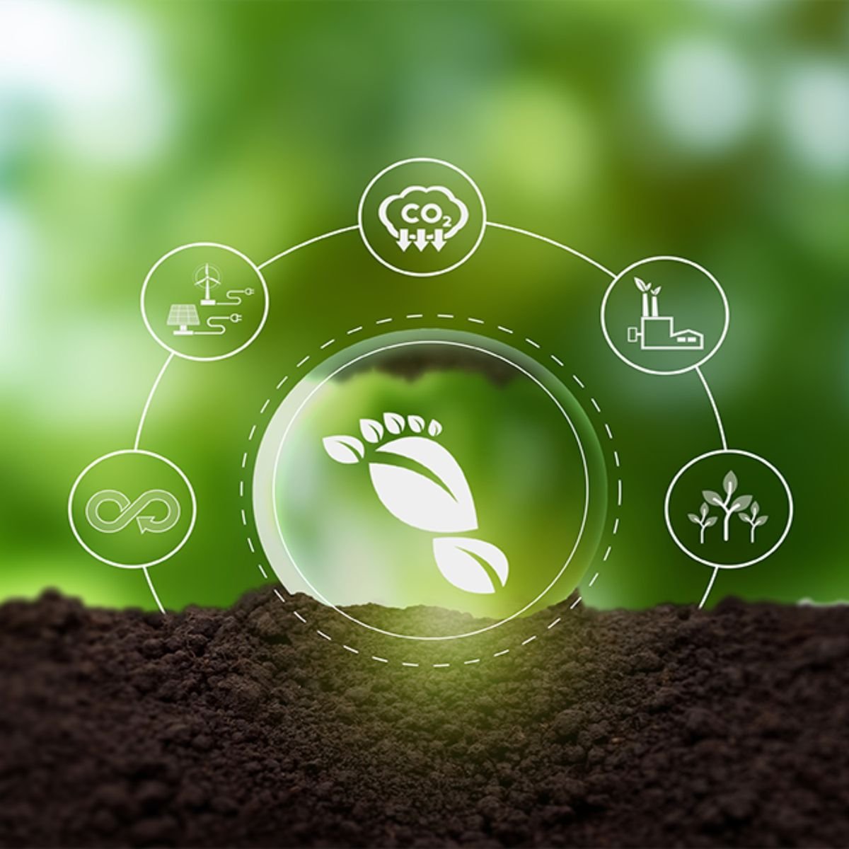 सेंद्रिय कर्ब